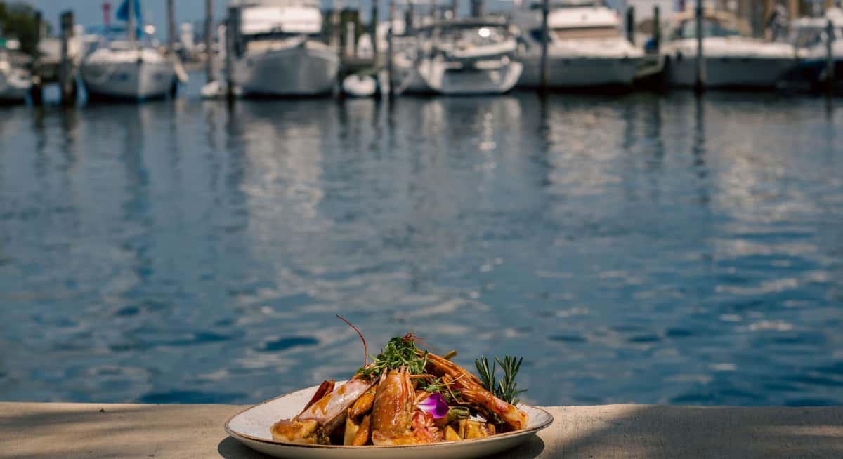 Grilled seafood dish plated by the marina with yachts and calm bay water in the background.