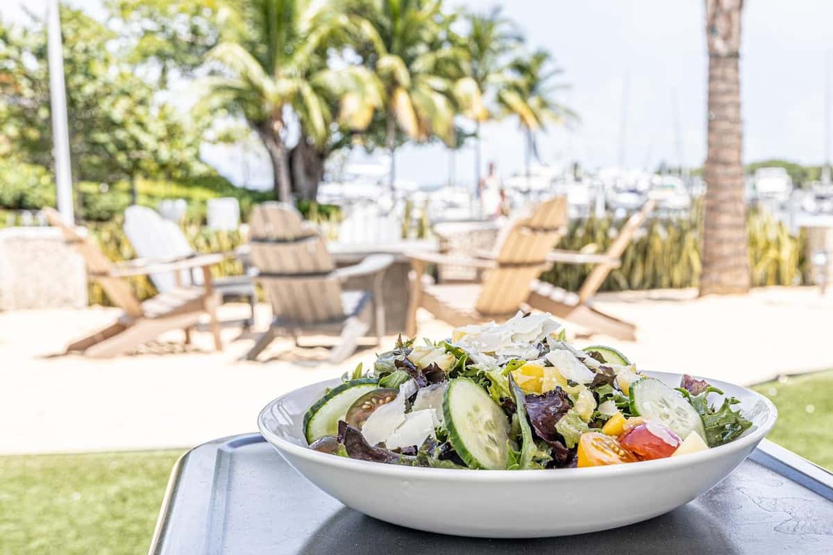 Fresh salad served outdoors near waterfront lounge seating and palm trees.