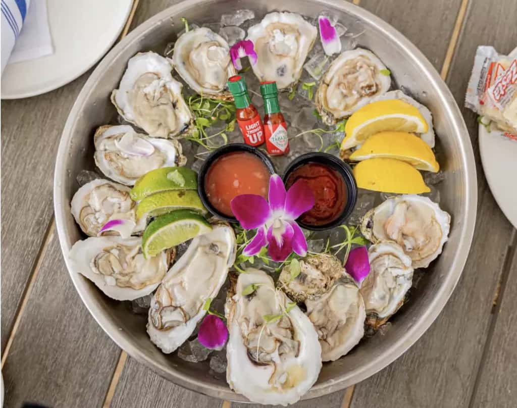 chilled oysters