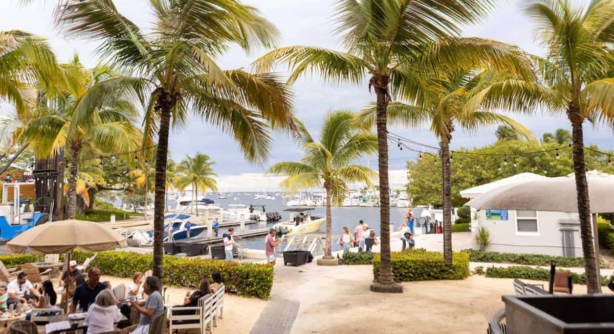 Outdoor waterfront dining with palm trees overlooking a marina, guests enjoying food and drinks by the bay in Coconut Grove Miami.
