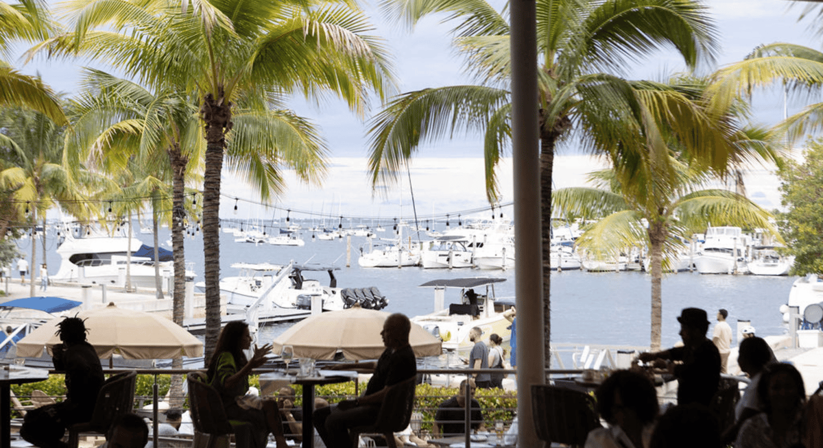 Waterfront restaurant view framed by palm trees, outdoor tables, and boats docked along the marina.