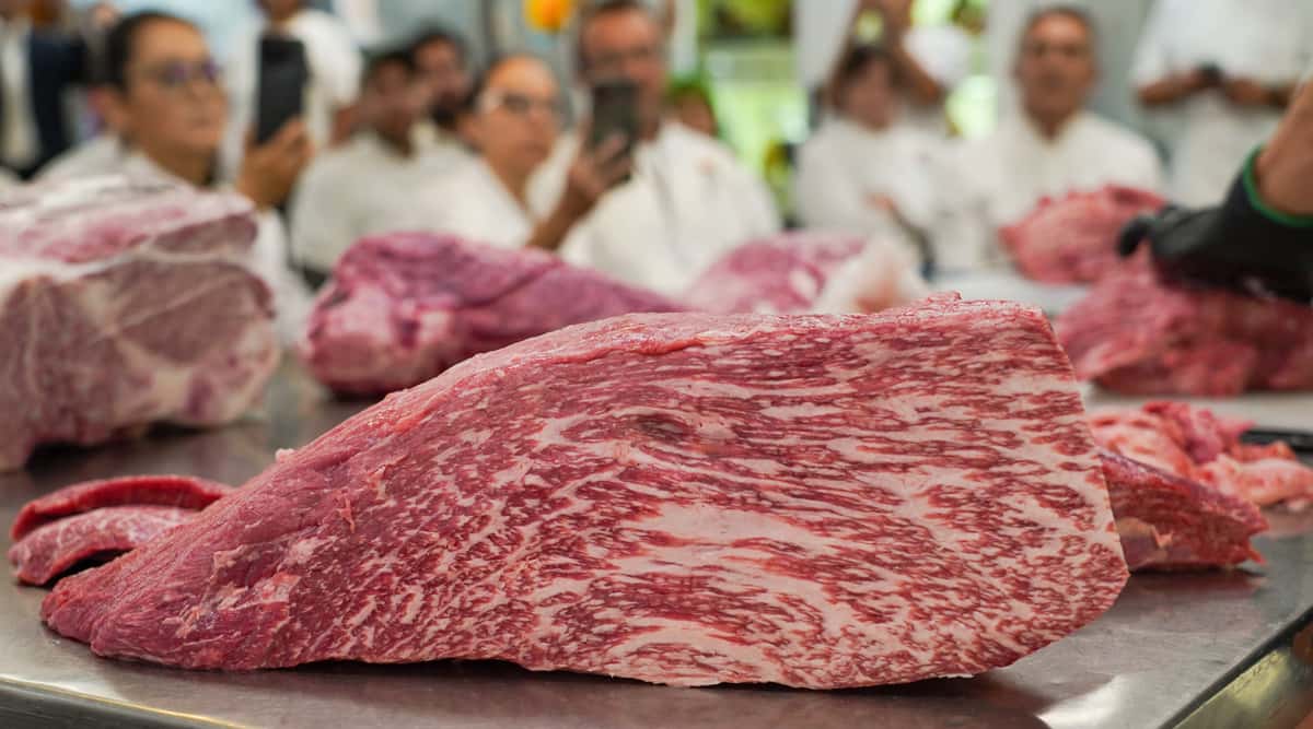 wagyu2