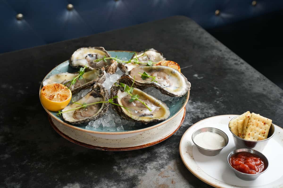 oysters