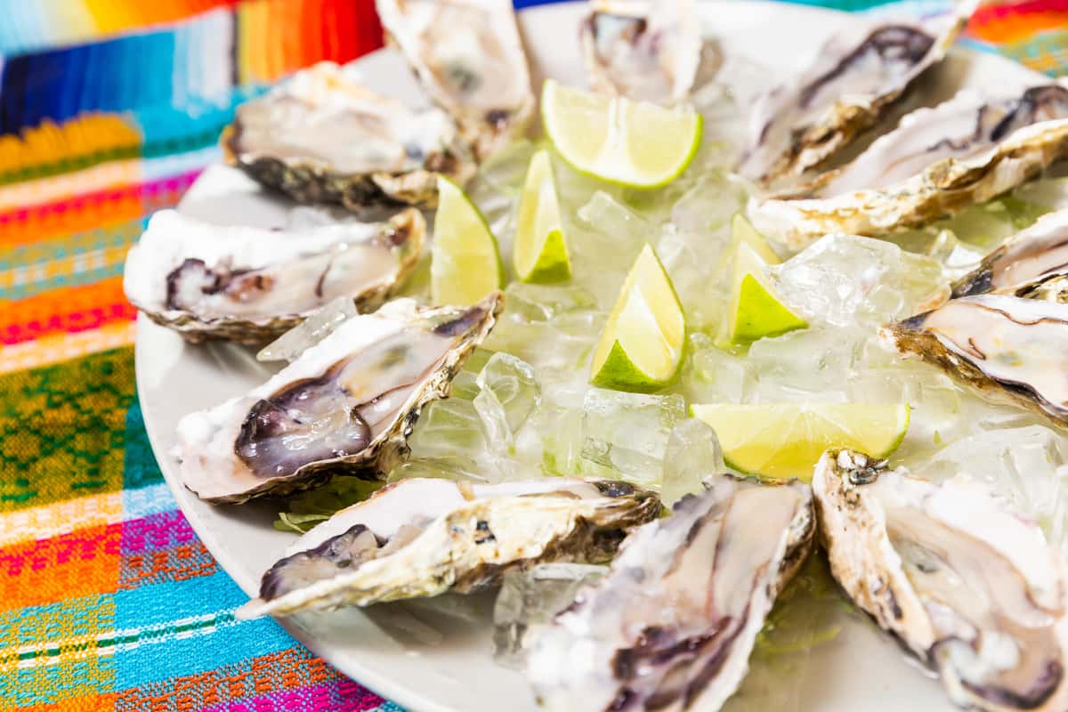 Oysters