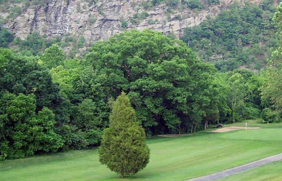 Golf Course