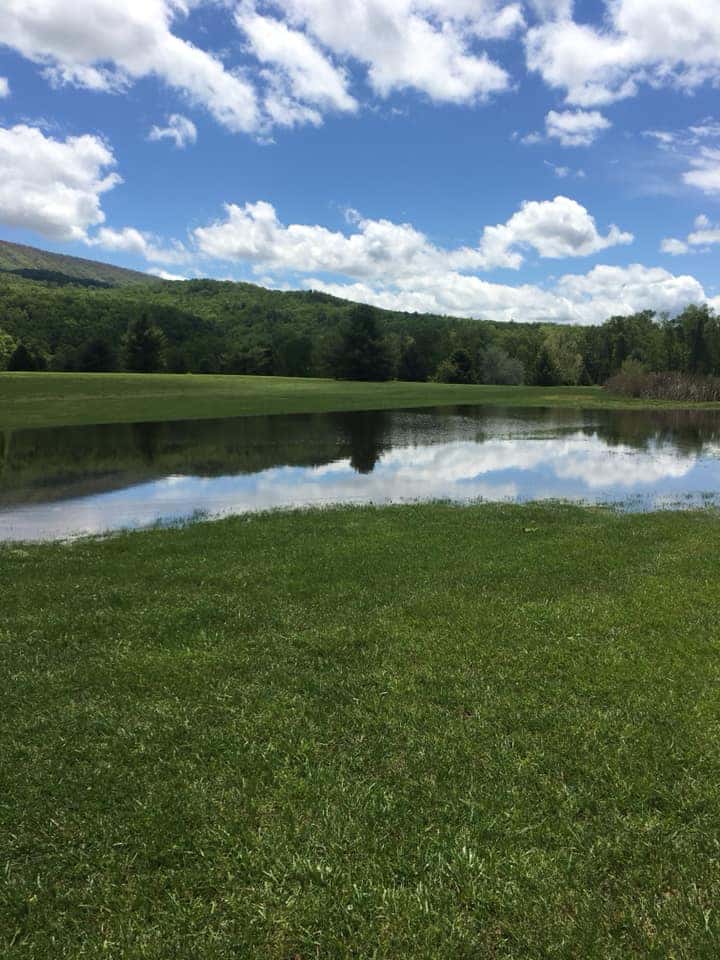 Pond on golf course