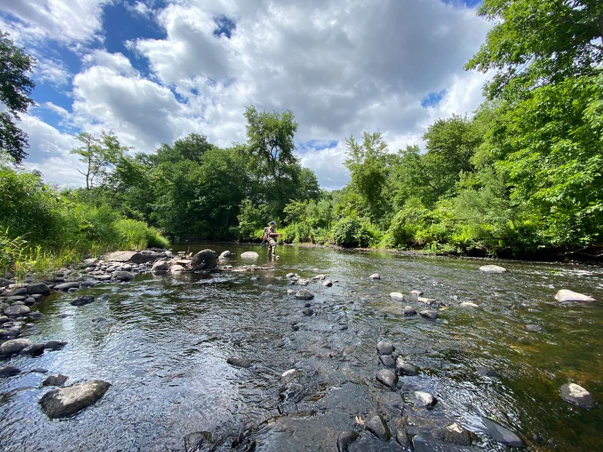 Jackson River near Cliff View