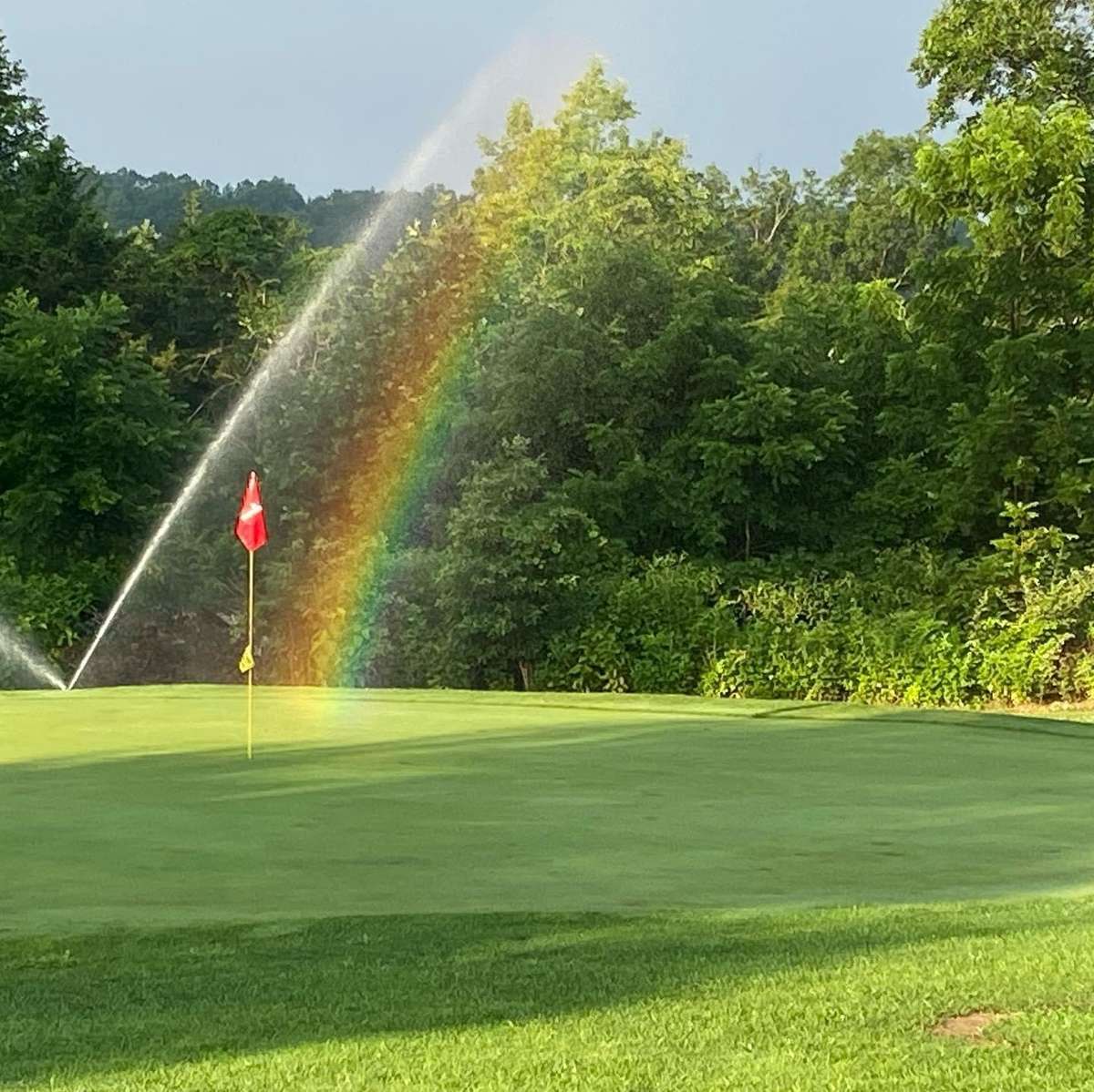 green and rainbow