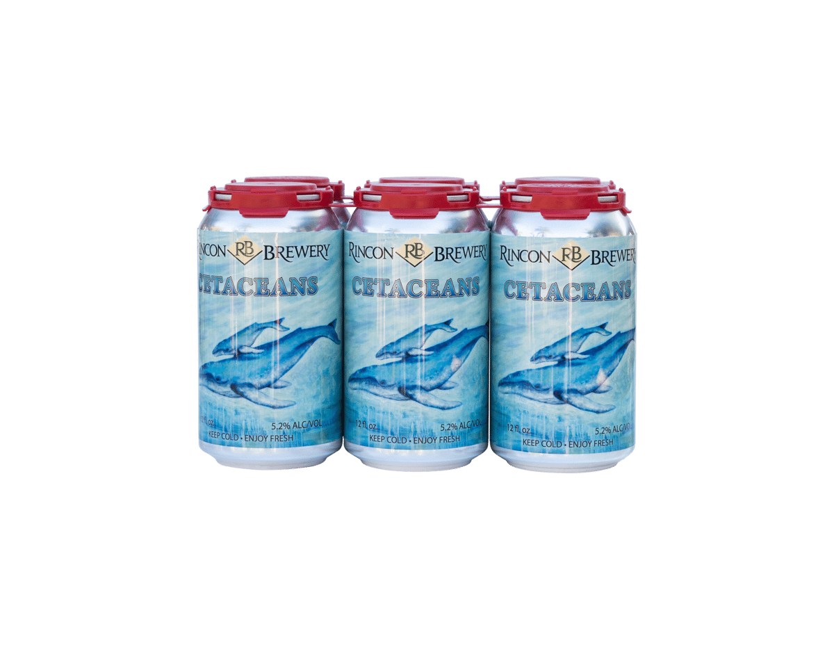 Blue Fish | Re-Freezable Ice Pack 6 Pack