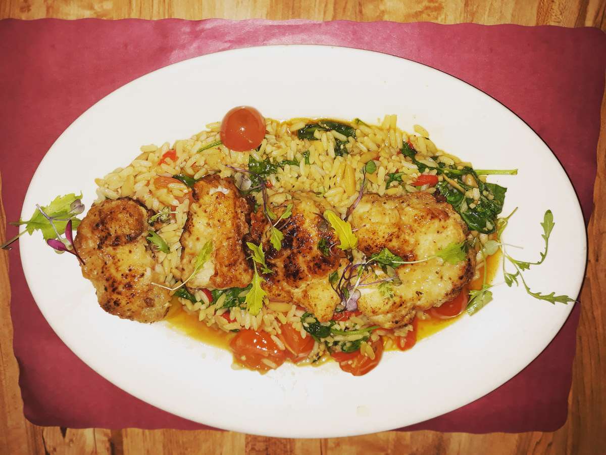 catering plate