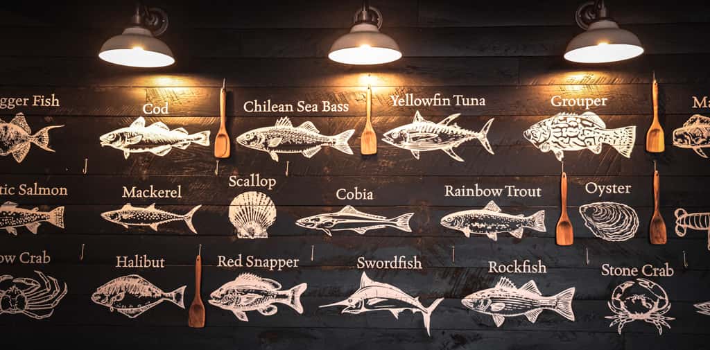 fresh catch