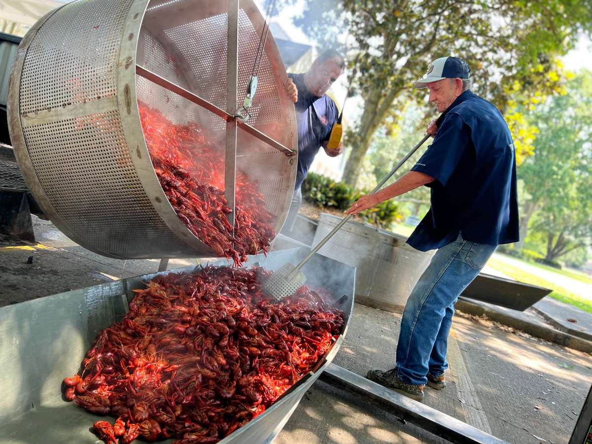 The Crawfish Hole