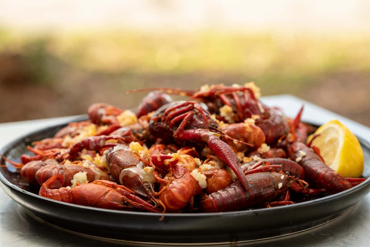 Crawfish