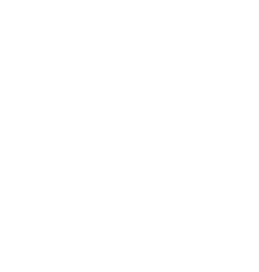 Instgaram icon