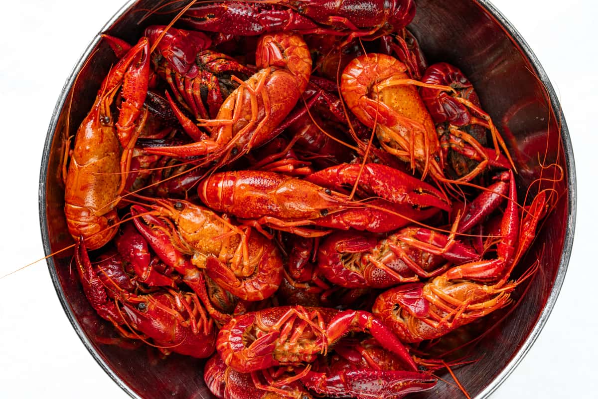 Bowl of boiled crawfish