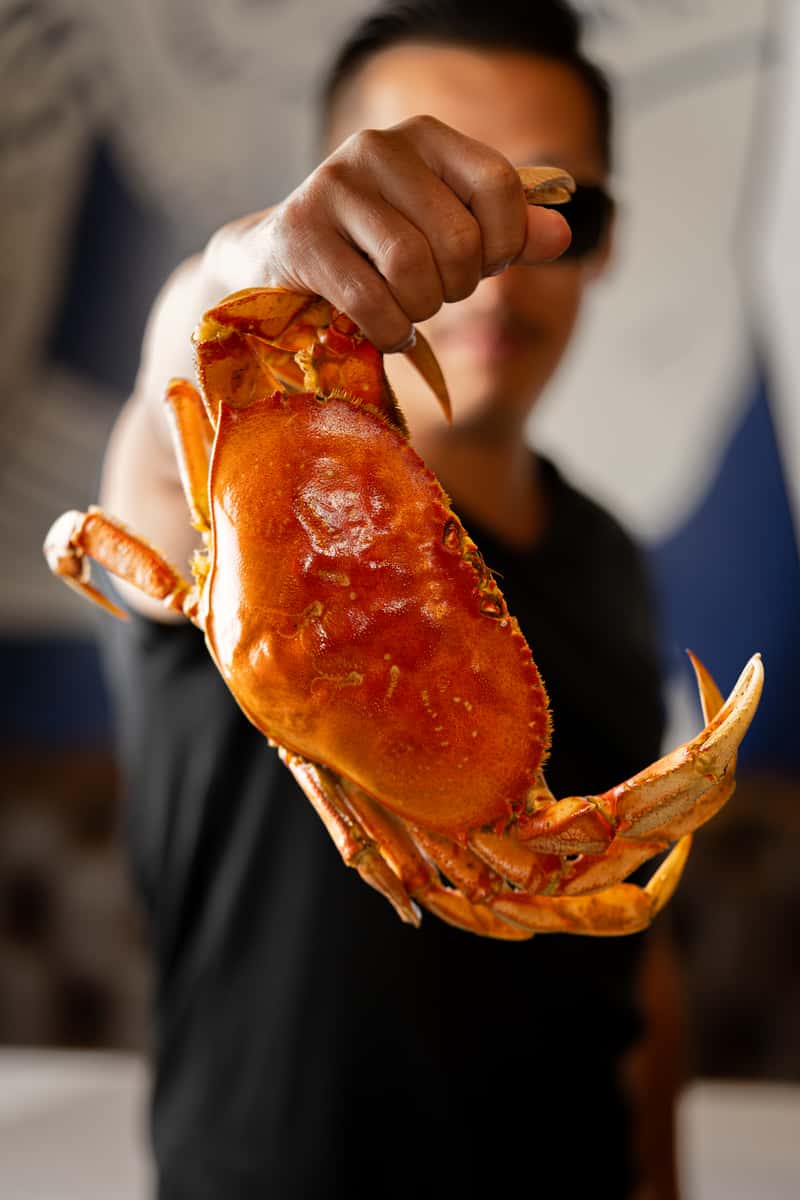 Cooked whole dungeness crab