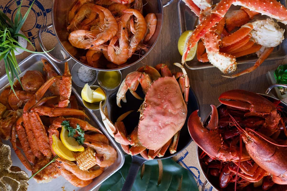 spread of food