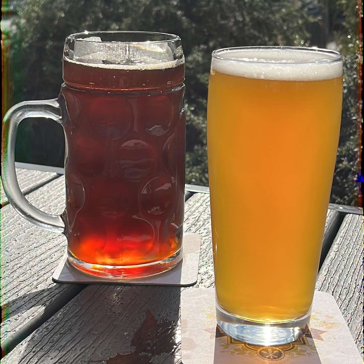 beer in glasses