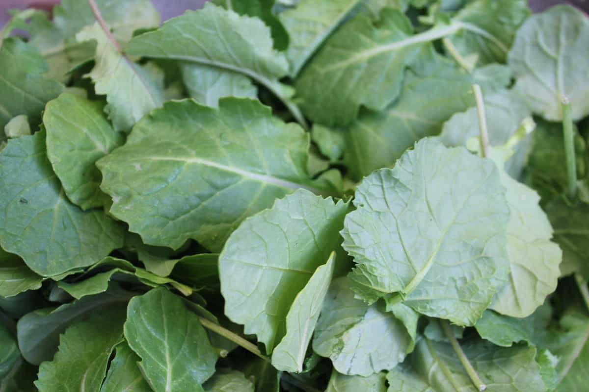 leafy greens