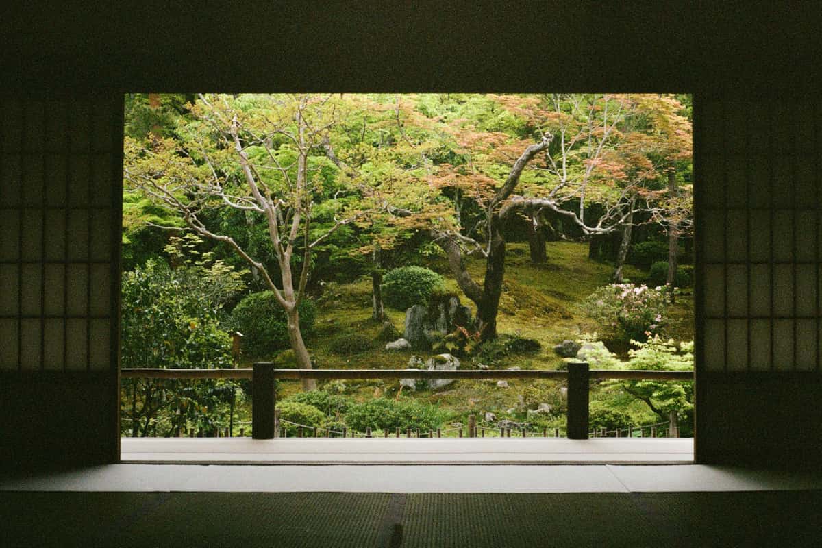 Japanese gallery
