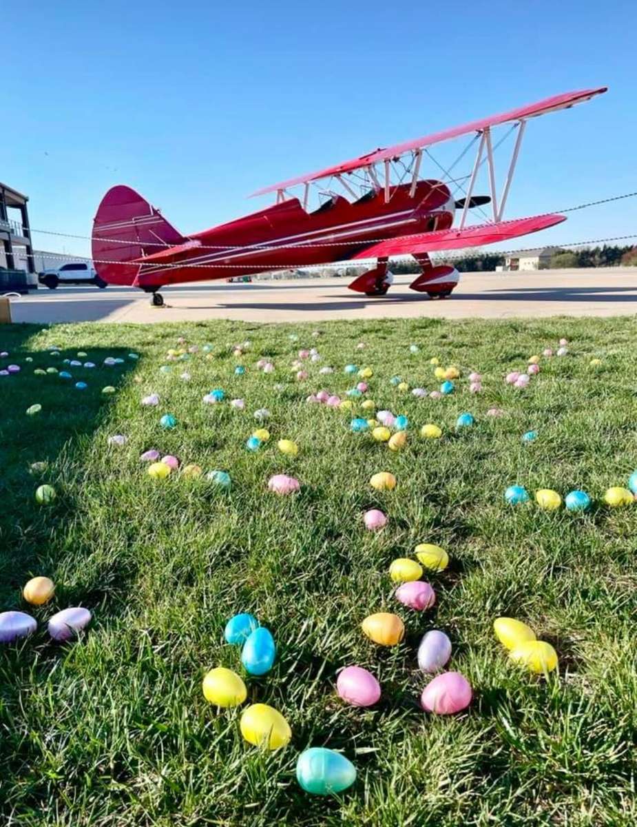 Egg Hunt