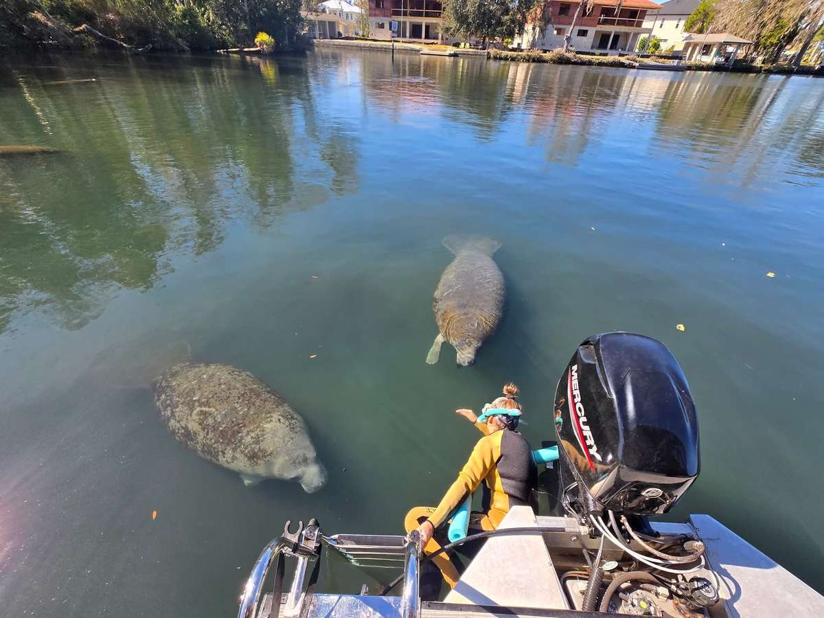 Capt Wyn Manatees