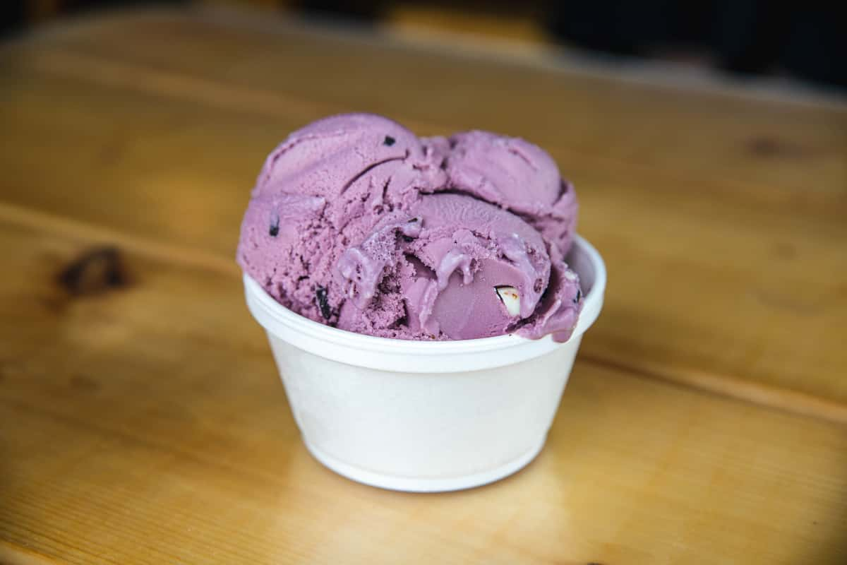 Maine Black Bear - Ice Cream Menu - The Beach Plum - Seafood Restaurant in  NH