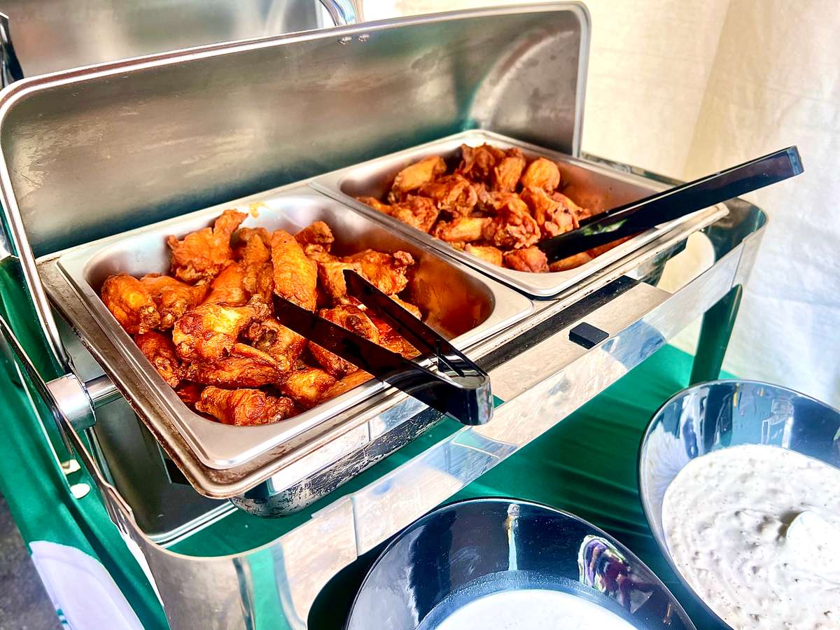 Wings in Chafer