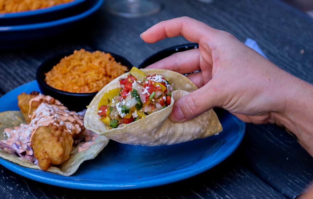 Taco