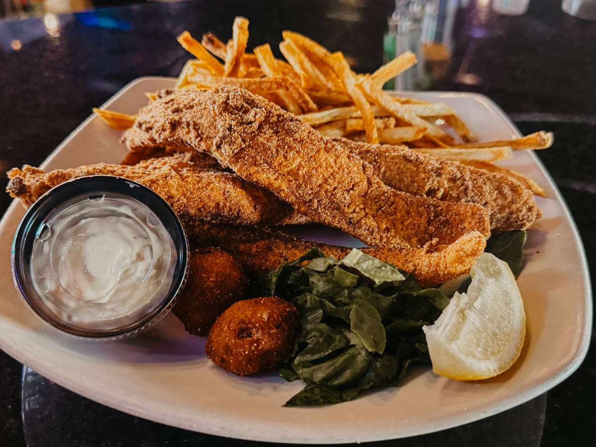 catfish