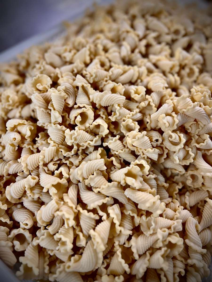 fresh pasta