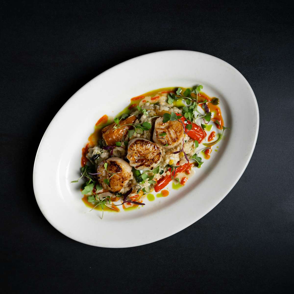 Seared scallops atop creamy vegetable risotto, garnished with microgreens and vibrant sauces, plated on a white oval dish against a black background.