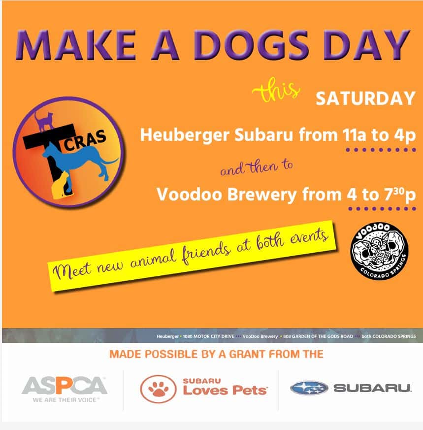 Make a dogs day.JPG