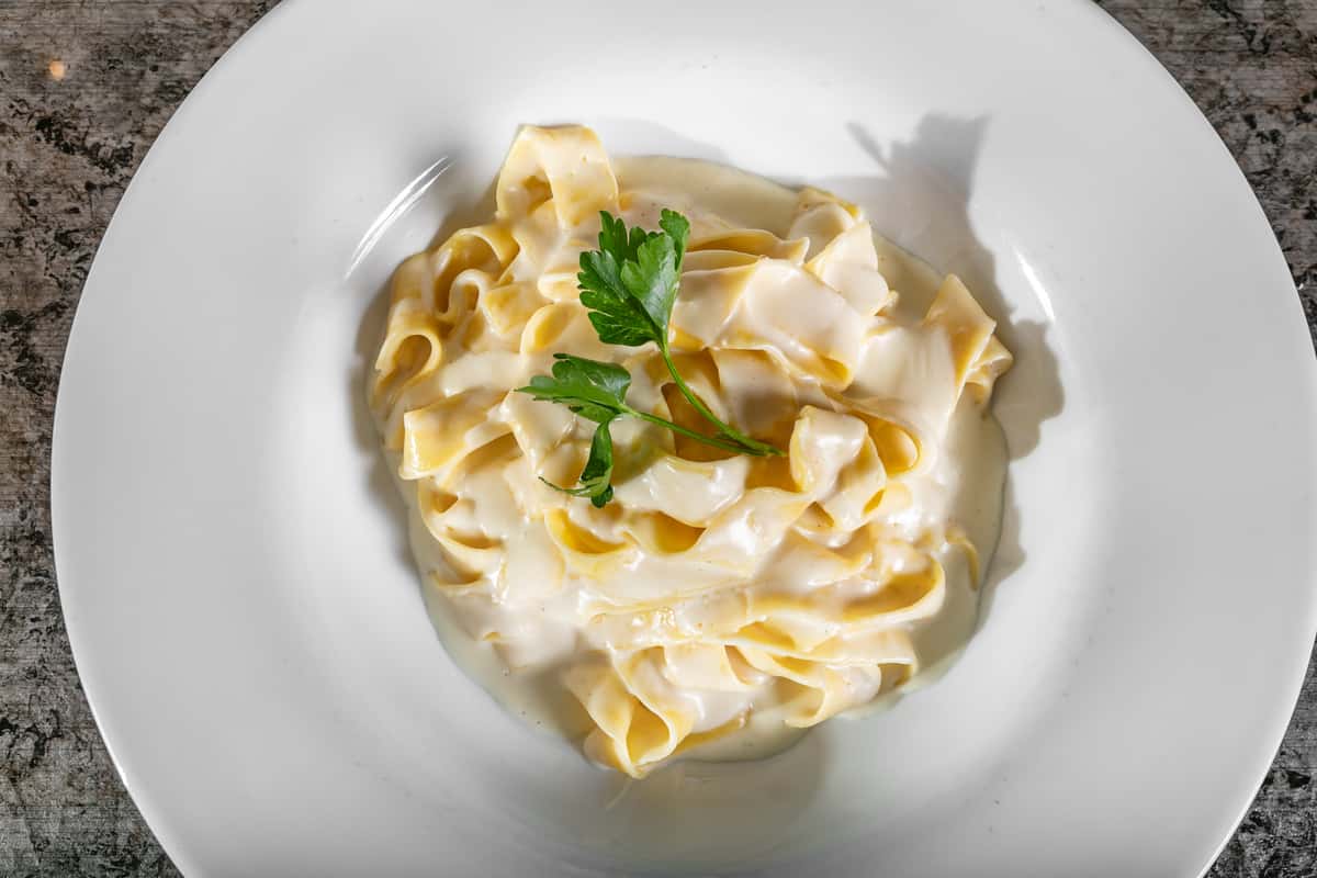alfredo