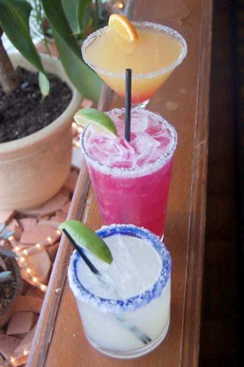 House marg and prickly pear margarita