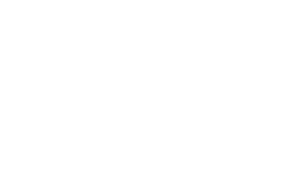 Logo - White
