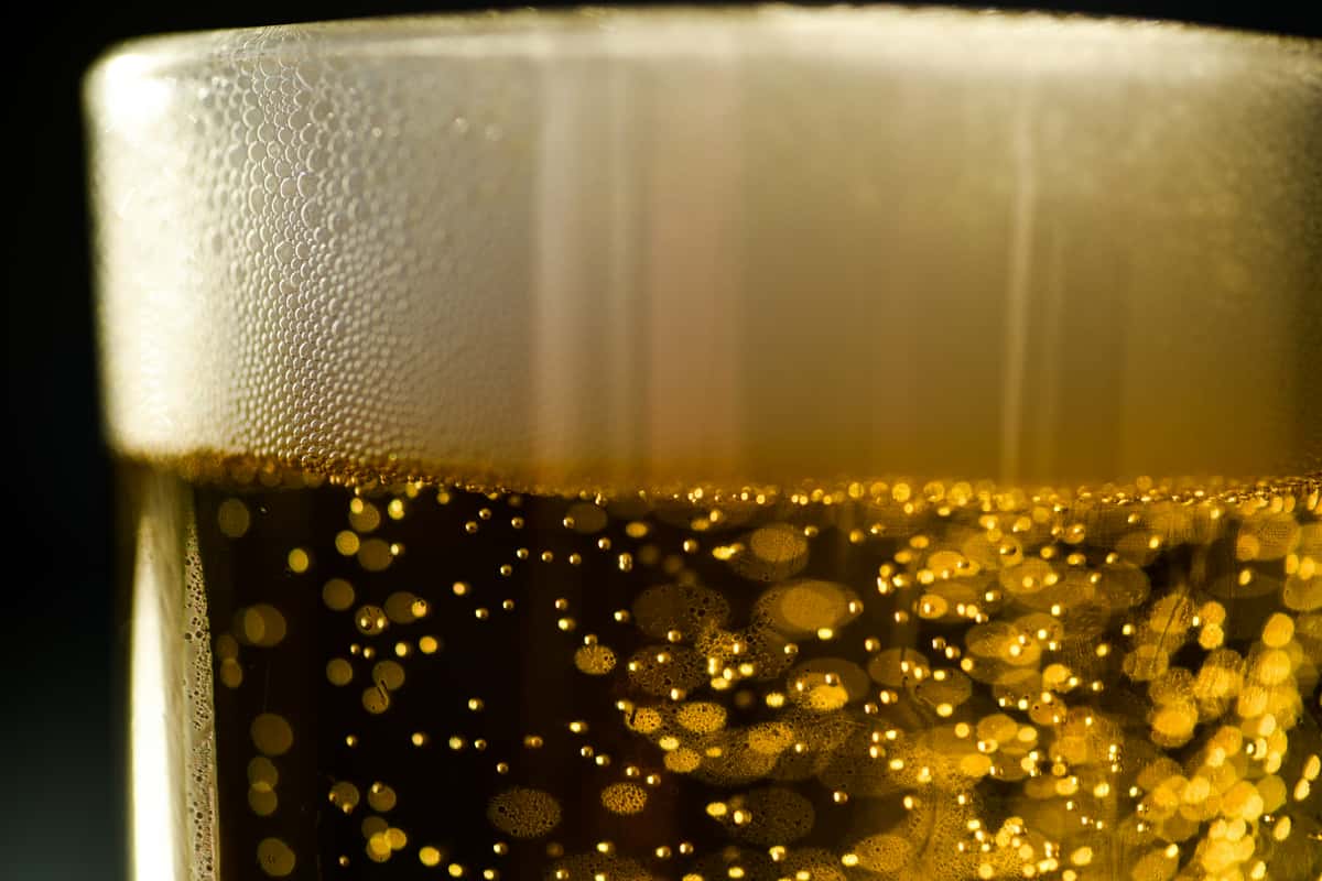 Close-up of glass of beer.