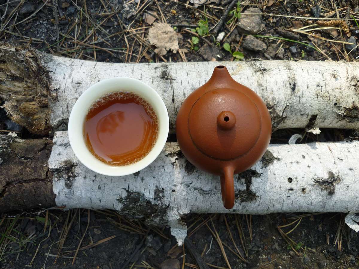 coffee pot and cup set on top of two birch logs