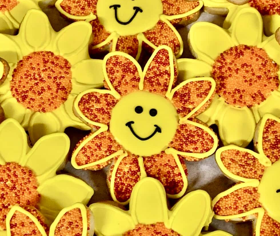 Sunflower Summer