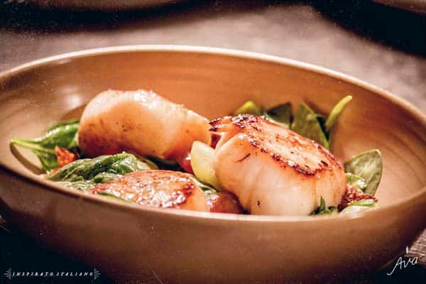 SEA SCALLOPS