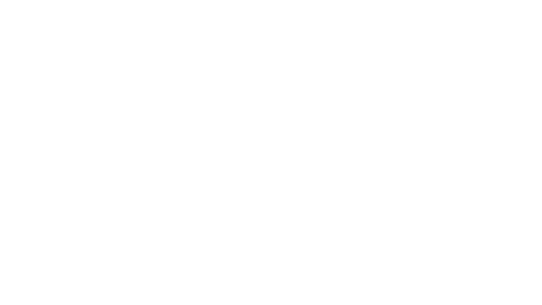 copper door logo
