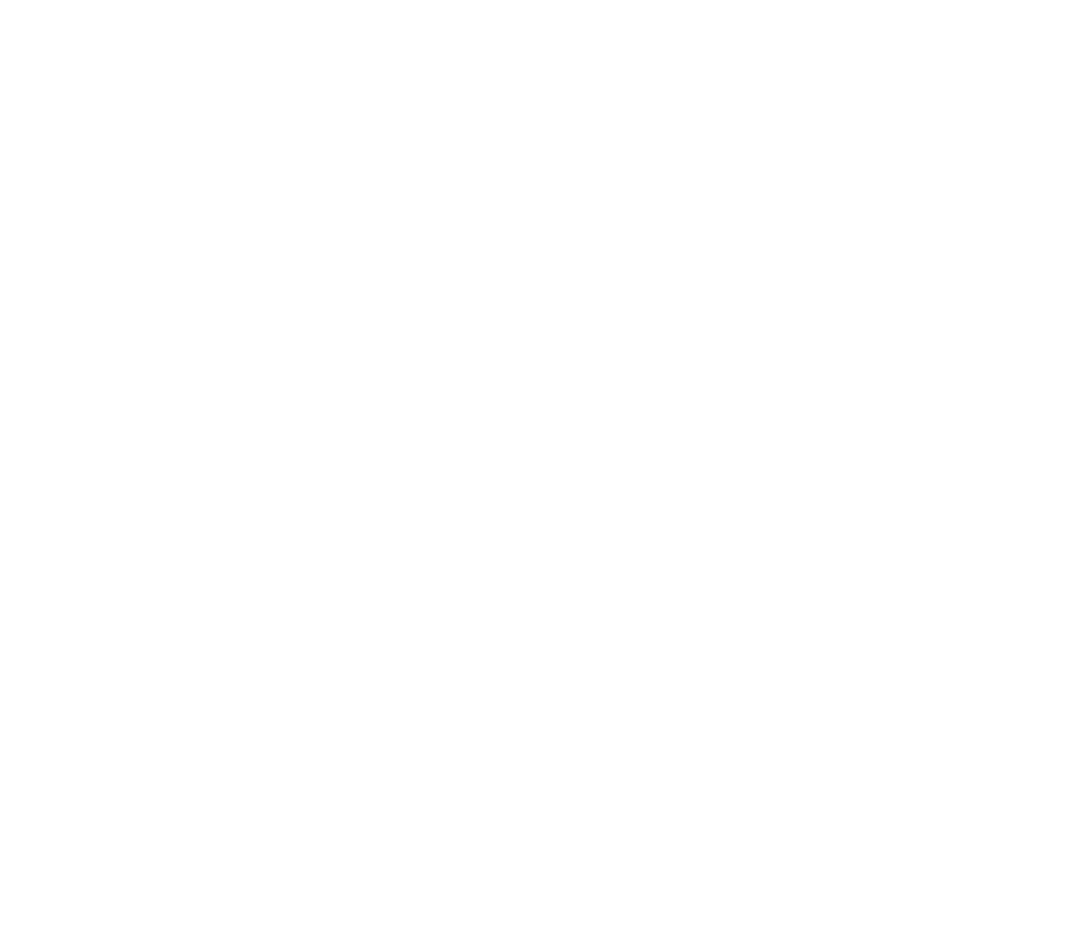 The Rally Sports Bar & Grille