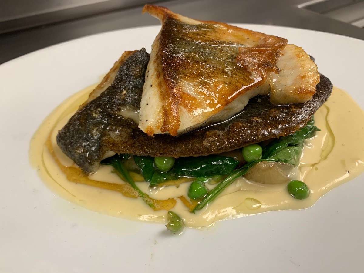 turbot