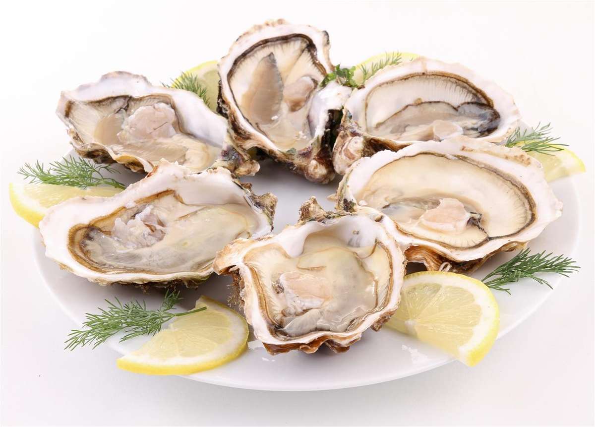 fast oysters