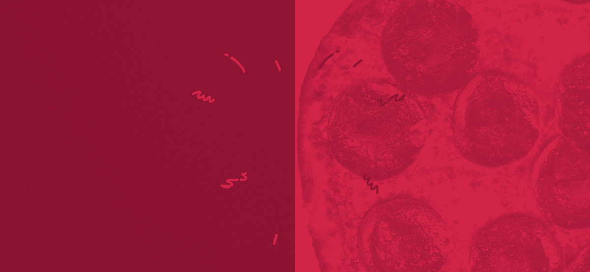 Red pizza background