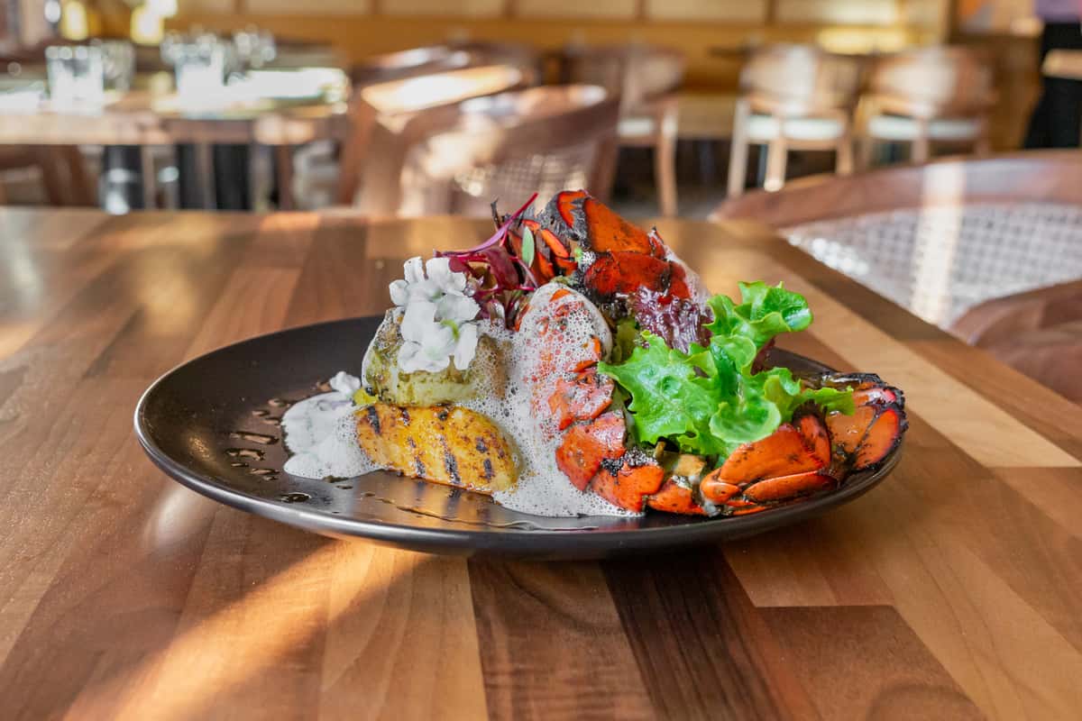 Jaks Authentic Indian & Modern Vibe Indian Restaurant in Santa Clara, CA