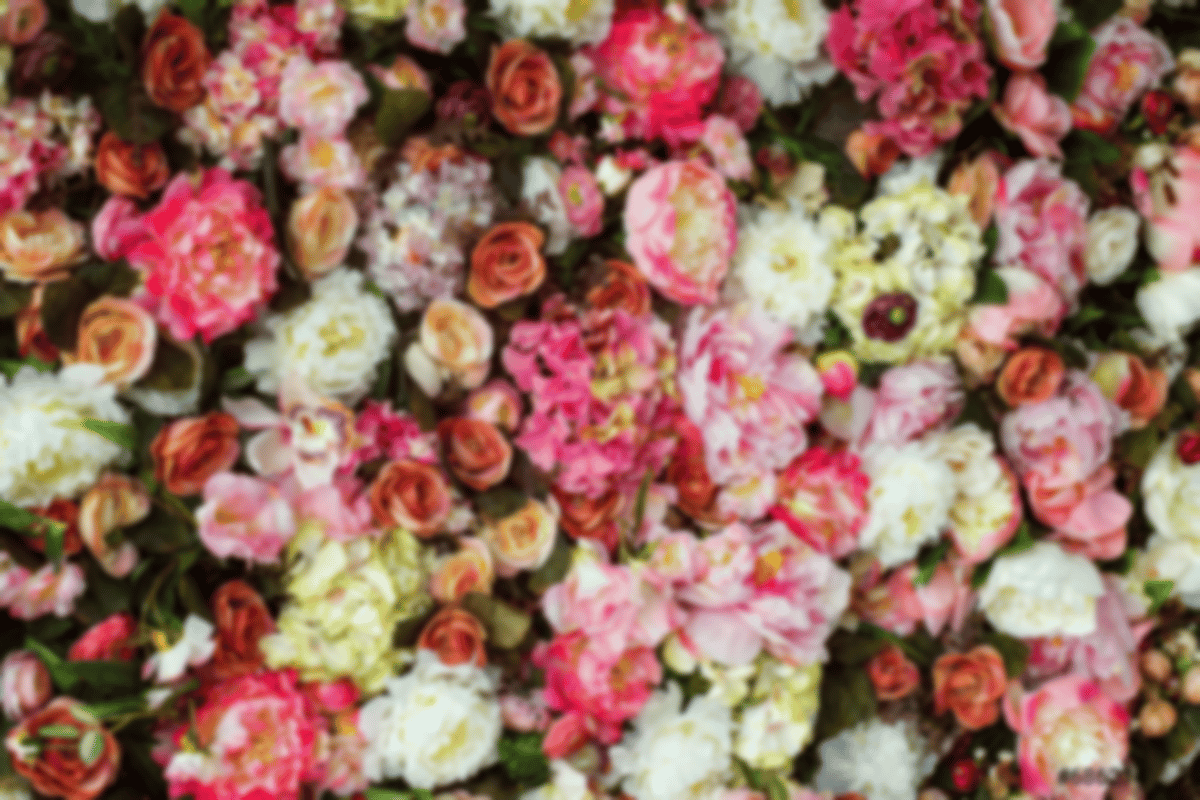 flowers about us