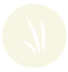 grass fed icon