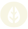 LEAF ICON