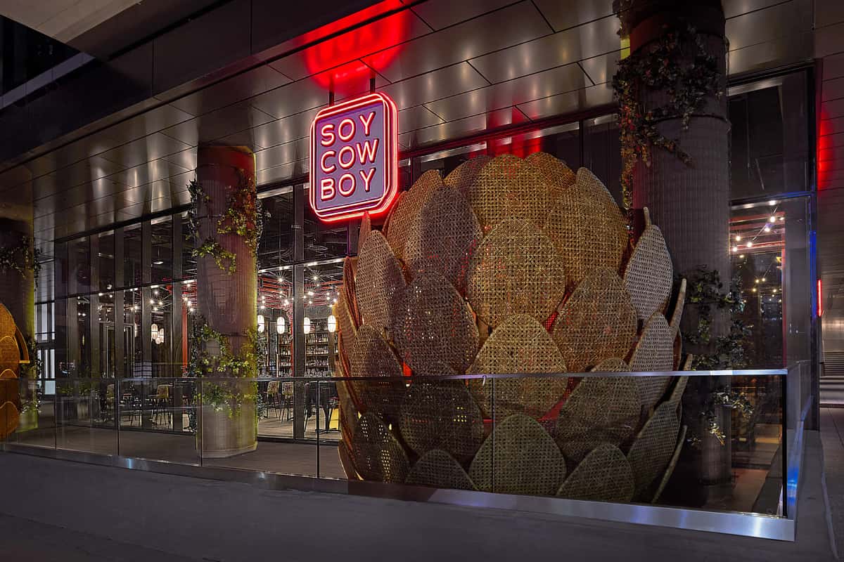 Soy Cowboy About Page Image